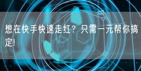 想在快手快速走红？只需一元帮你搞定!