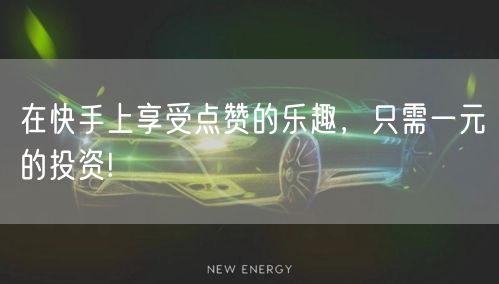 在快手上享受点赞的乐趣，只需一元的投资!