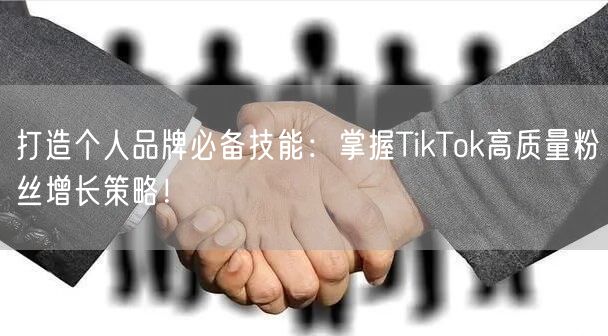 打造个人品牌必备技能：掌握TikTok高质量粉丝增长策略！