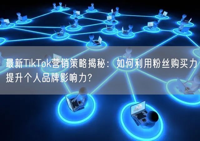 最新TikTok营销策略揭秘：如何利用粉丝购买力提升个人品牌影响力？