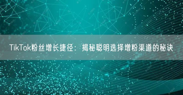 TikTok粉丝增长捷径：揭秘聪明选择增粉渠道的秘诀