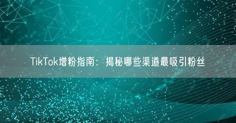 TikTok增粉指南：揭秘哪些渠道最吸引粉丝