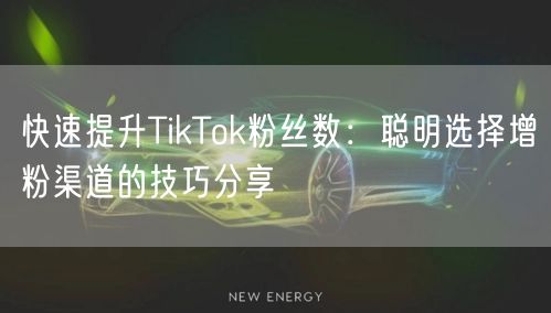 快速提升TikTok粉丝数：聪明选择增粉渠道的技巧分享
