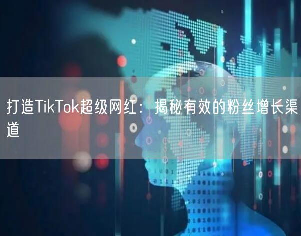 打造TikTok超级网红：揭秘有效的粉丝增长渠道