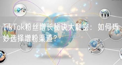 TikTok粉丝增长秘诀大解密：如何巧妙选择增粉渠道？
