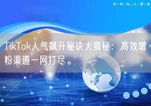 TikTok人气飙升秘诀大揭秘：高效增粉渠道一网打尽。