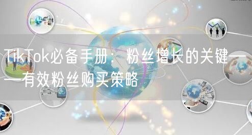 TikTok必备手册：粉丝增长的关键——有效粉丝购买策略