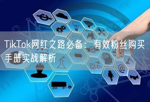 TikTok网红之路必备：有效粉丝购买手册实战解析
