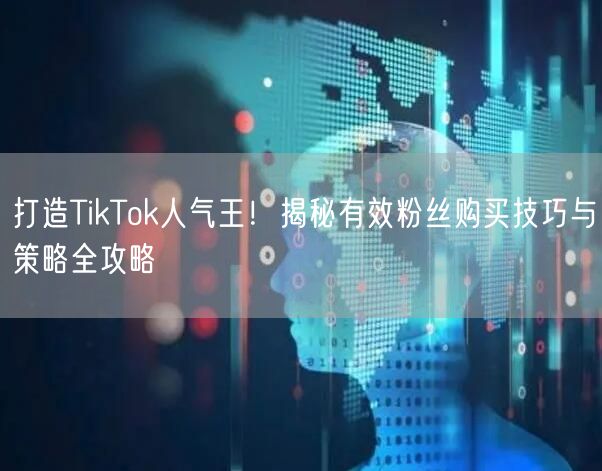 打造TikTok人气王！揭秘有效粉丝购买技巧与策略全攻略