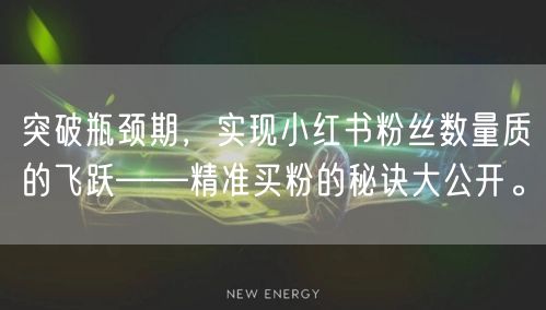 突破瓶颈期，实现小红书粉丝数量质的飞跃——精准买粉的秘诀大公开。
