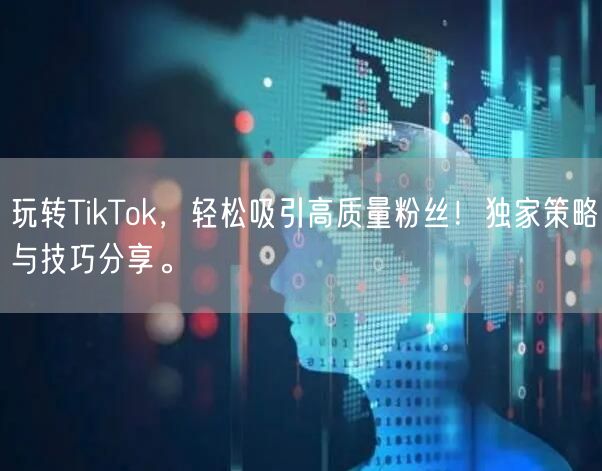 玩转TikTok，轻松吸引高质量粉丝！独家策略与技巧分享。