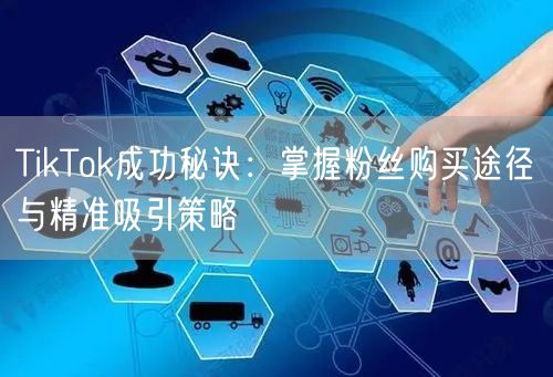 TikTok成功秘诀：掌握粉丝购买途径与精准吸引策略