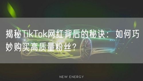 揭秘TikTok网红背后的秘诀：如何巧妙购买高质量粉丝？