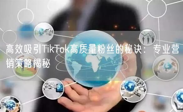高效吸引TikTok高质量粉丝的秘诀：专业营销策略揭秘