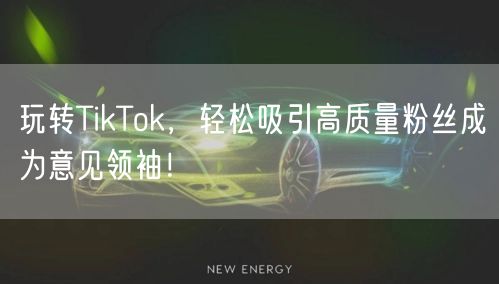 玩转TikTok，轻松吸引高质量粉丝成为意见领袖！