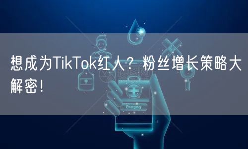想成为TikTok红人？粉丝增长策略大解密！