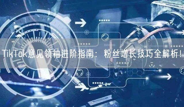 TikTok意见领袖进阶指南：粉丝增长技巧全解析！