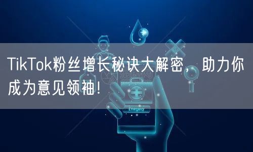 TikTok粉丝增长秘诀大解密，助力你成为意见领袖！