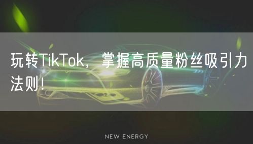 玩转TikTok，掌握高质量粉丝吸引力法则！