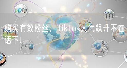 购买有效粉丝，TikTok人气飙升不在话下！