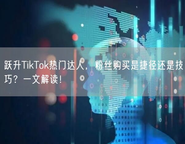 跃升TikTok热门达人，粉丝购买是捷径还是技巧？一文解读！