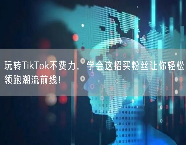玩转TikTok不费力，学会这招买粉丝让你轻松领跑潮流前线！