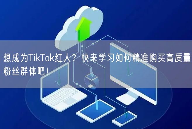 想成为TikTok红人？快来学习如何精准购买高质量粉丝群体吧！