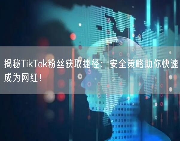 揭秘TikTok粉丝获取捷径：安全策略助你快速成为网红！