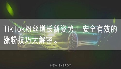 TikTok粉丝增长新姿势：安全有效的涨粉技巧大解密。