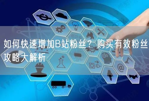 如何快速增加B站粉丝？购买有效粉丝攻略大解析
