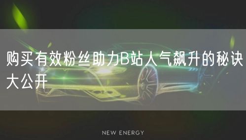 购买有效粉丝助力B站人气飙升的秘诀大公开