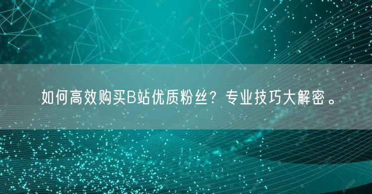 如何高效购买B站优质粉丝？专业技巧大解密。
