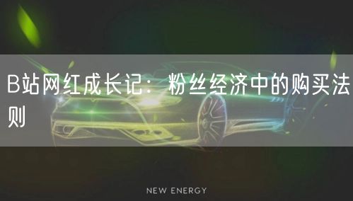 B站网红成长记：粉丝经济中的购买法则