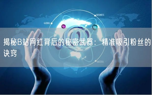 揭秘B站网红背后的秘密武器：精准吸引粉丝的诀窍