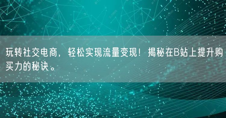 玩转社交电商，轻松实现流量变现！揭秘在B站上提升购买力的秘诀。