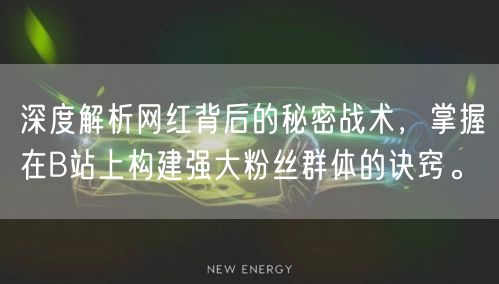深度解析网红背后的秘密战术，掌握在B站上构建强大粉丝群体的诀窍。
