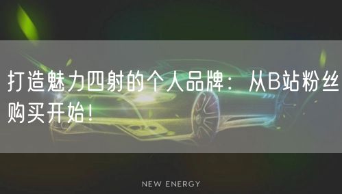 打造魅力四射的个人品牌：从B站粉丝购买开始！