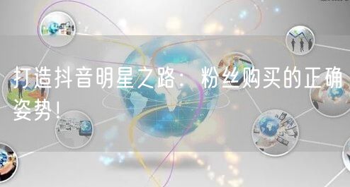 打造抖音明星之路：粉丝购买的正确姿势！