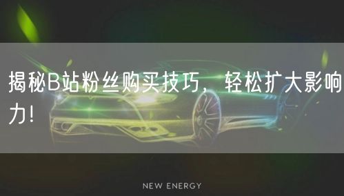 揭秘B站粉丝购买技巧，轻松扩大影响力！