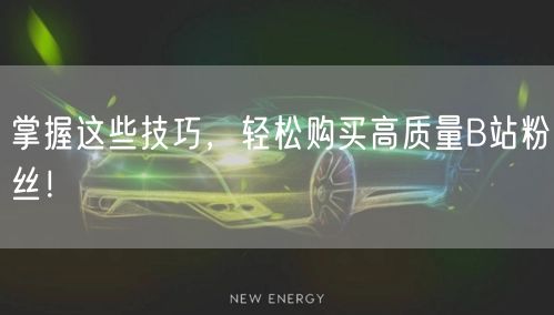 掌握这些技巧，轻松购买高质量B站粉丝！