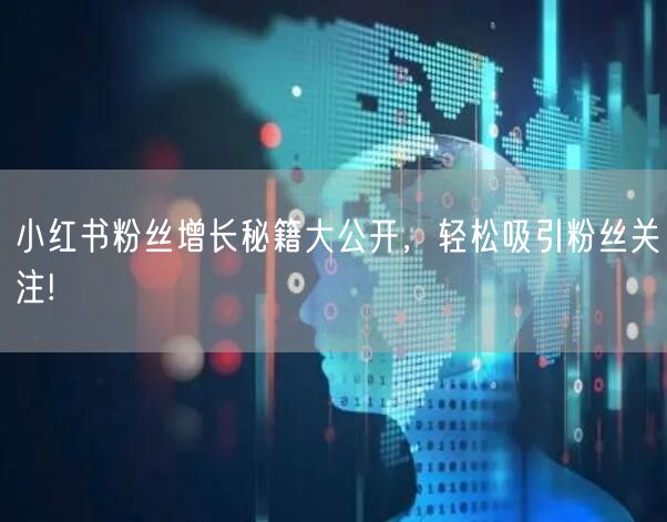 小红书粉丝增长秘籍大公开，轻松吸引粉丝关注!