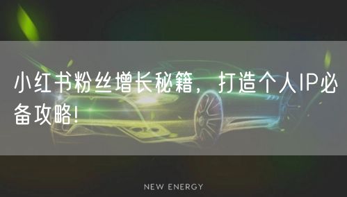 小红书粉丝增长秘籍，打造个人IP必备攻略!