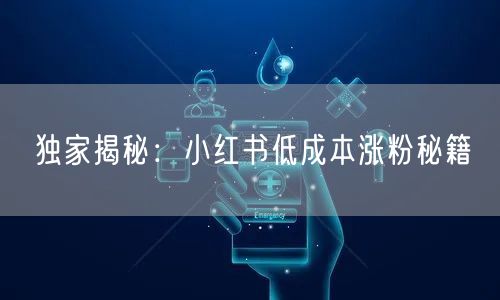 独家揭秘：小红书低成本涨粉秘籍