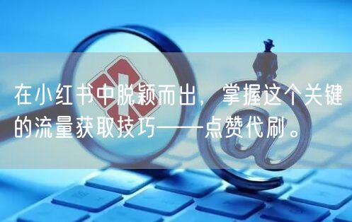 在小红书中脱颖而出，掌握这个关键的流量获取技巧——点赞代刷。