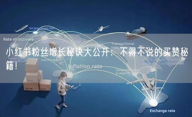 小红书粉丝增长秘诀大公开：不得不说的买赞秘籍！