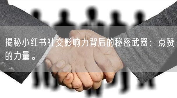 揭秘小红书社交影响力背后的秘密武器：点赞的力量。