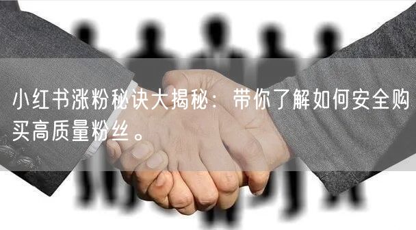 小红书涨粉秘诀大揭秘：带你了解如何安全购买高质量粉丝。