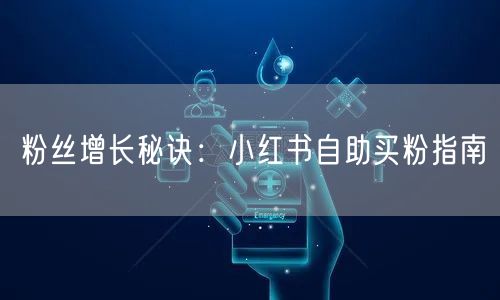 粉丝增长秘诀：小红书自助买粉指南