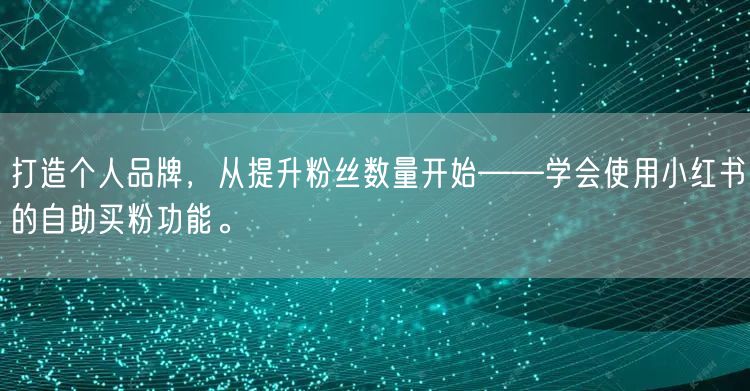 打造个人品牌，从提升粉丝数量开始——学会使用小红书的自助买粉功能。